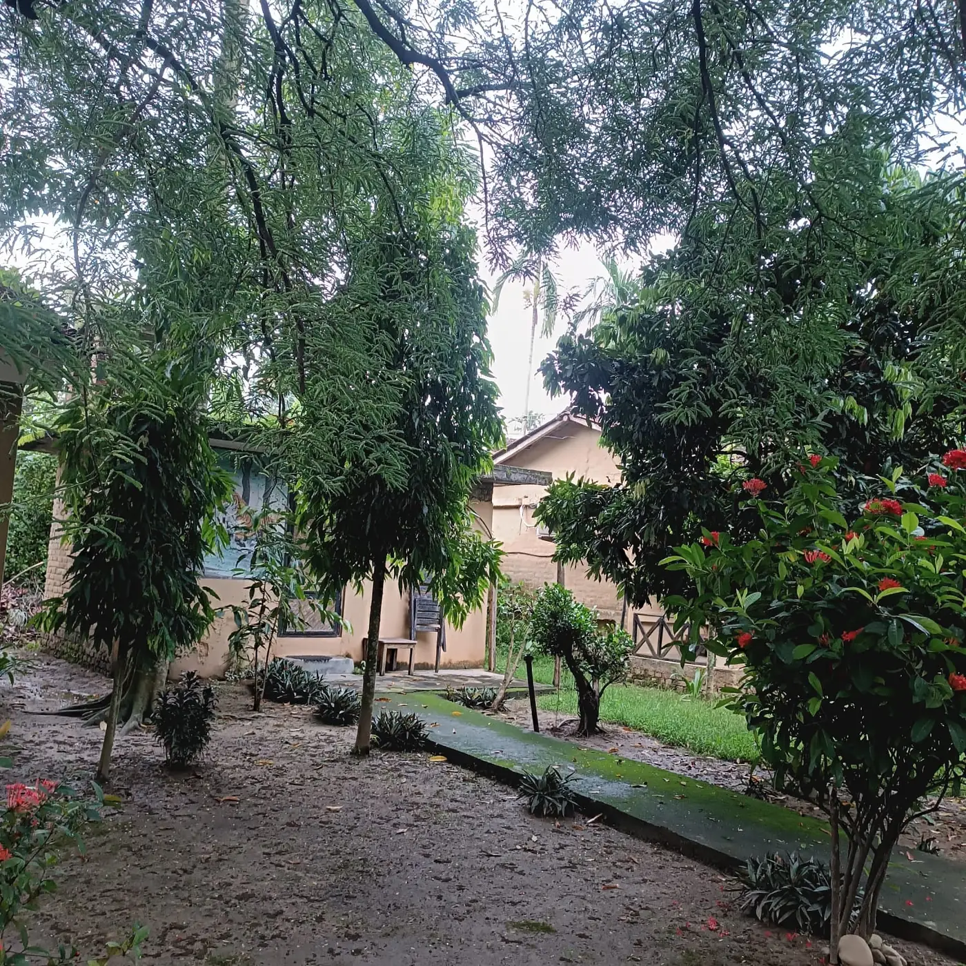 Guest bungalows among trees and flowering plants