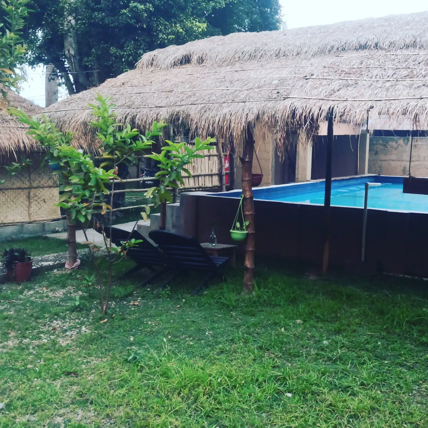 Swimming pool beside a bamboo and thatch roof in the garden